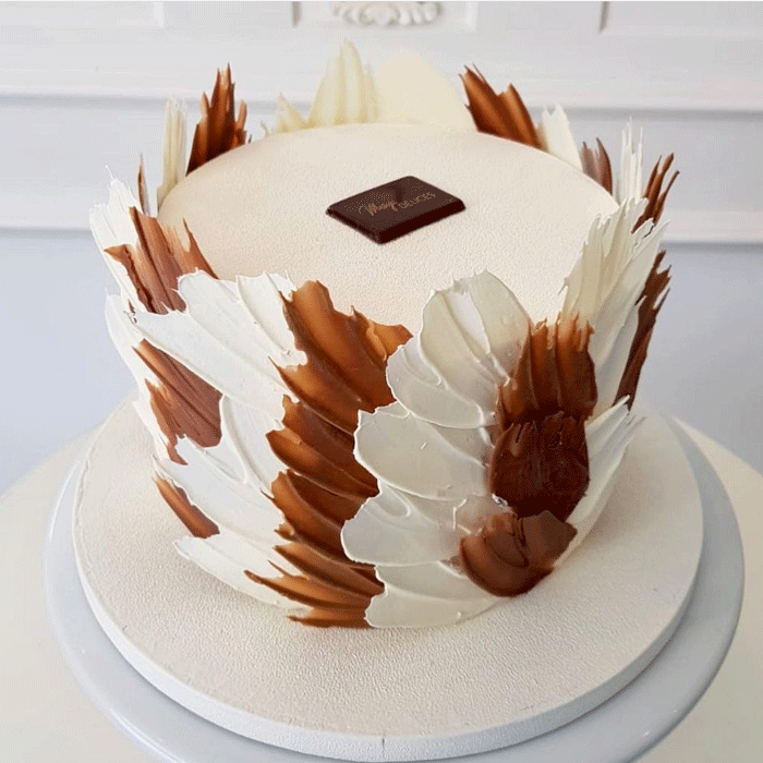 Feathers Cake